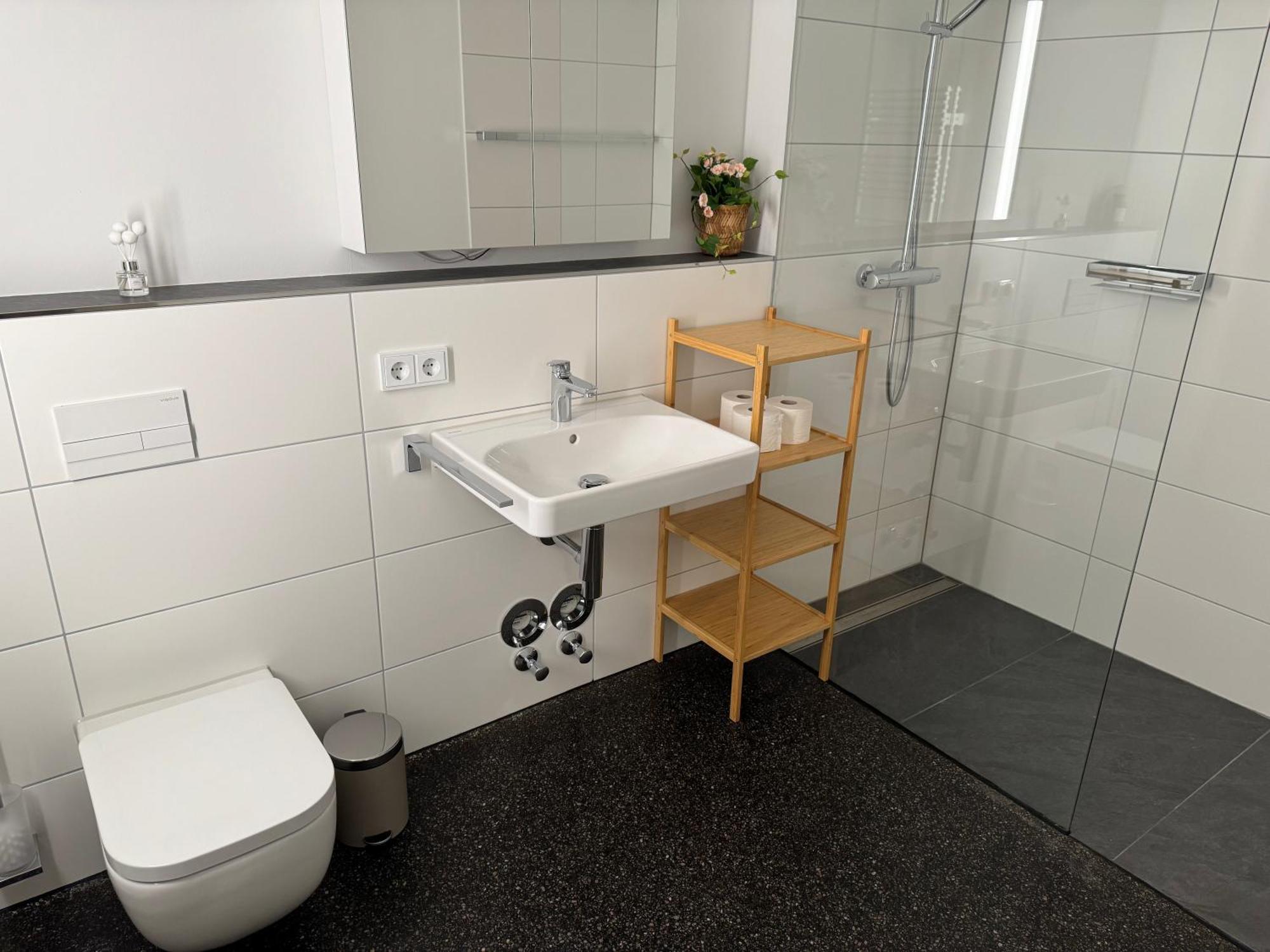 Isaak Apartment Stadtperle วัลด์ชุท-ทีนเงน ภายนอก รูปภาพ